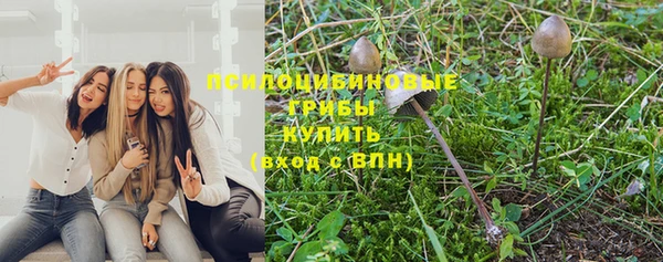 мяу мяу мука Нефтегорск