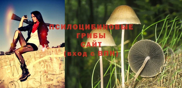 дживик Нея
