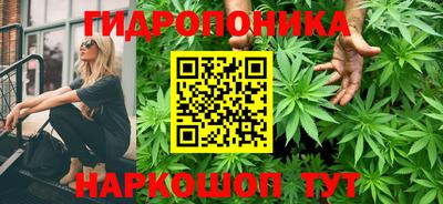 гидропоника Гусь-Хрустальный