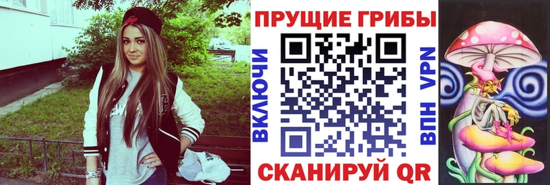 MEGA как зайти  Нальчик  Псилоцибиновые грибы ЛСД 