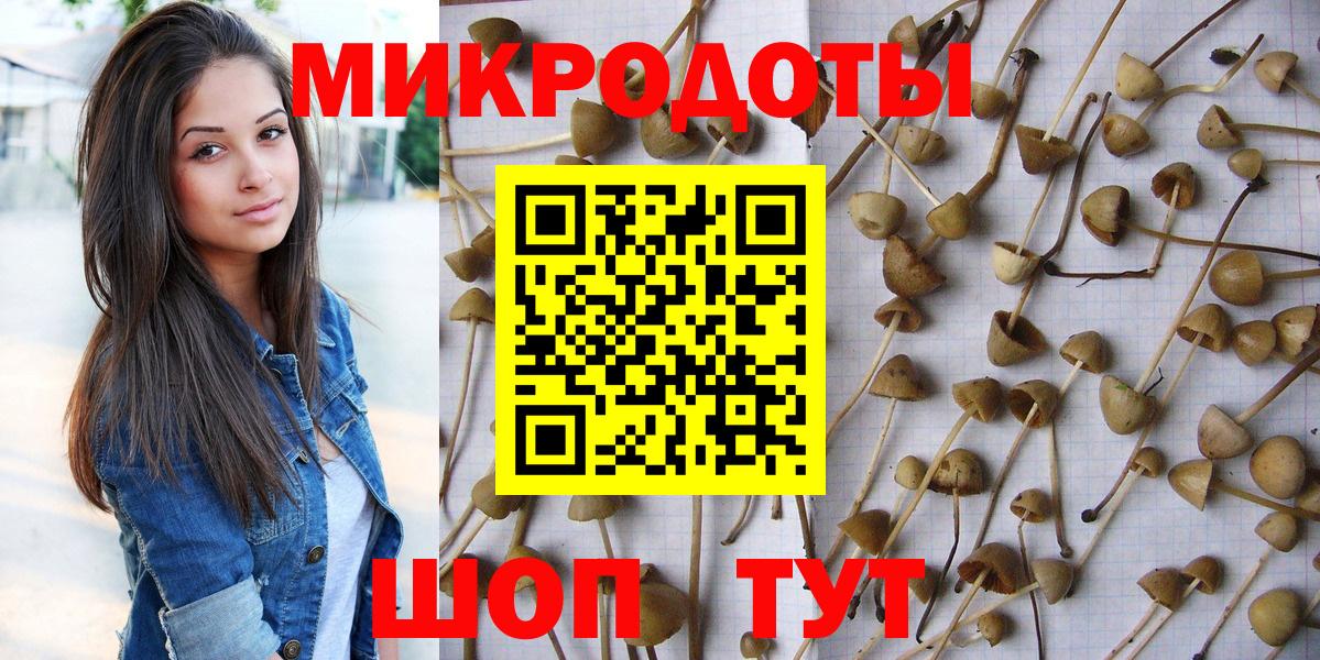 Галлюциногенные грибы прущие грибы Нальчик