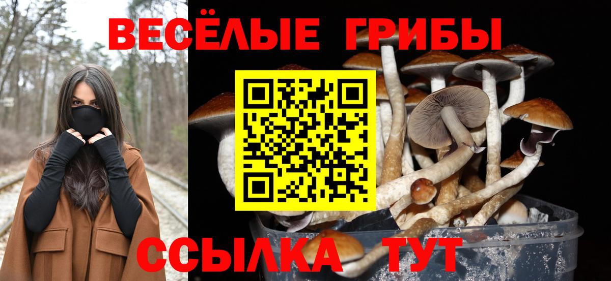 Нальчик  наркота  Вход с VPN  Псилоцибиновые грибы Magic Shrooms 
