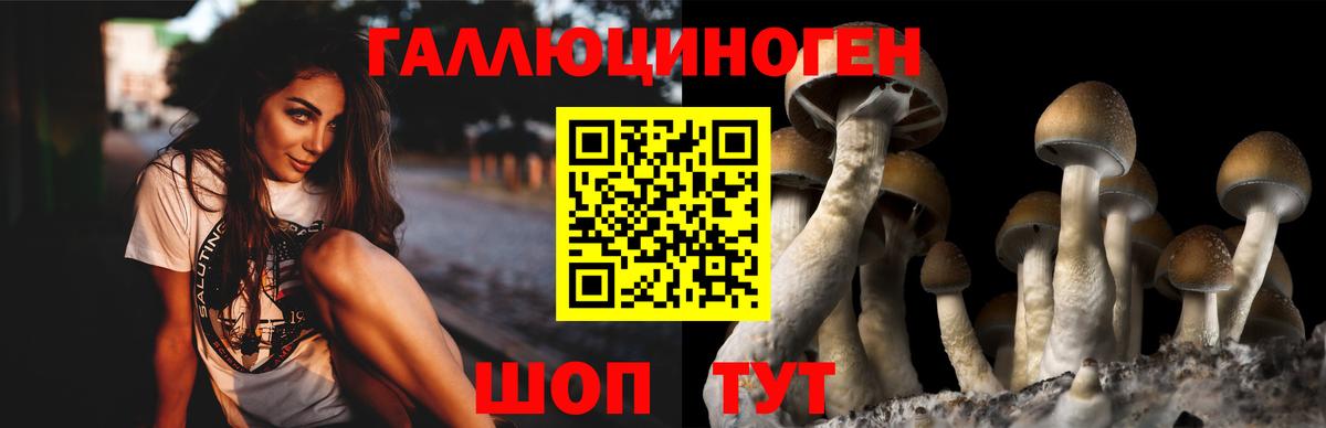 Псилоцибиновые грибы мухоморы Нальчик