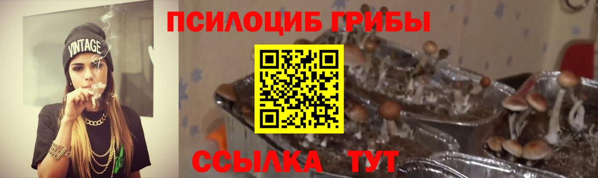 Псилоцибиновые грибы мицелий  закладка  Нальчик 