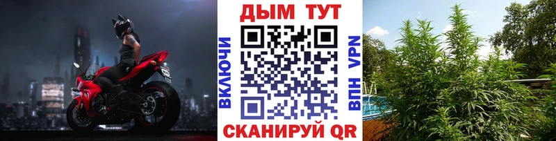 Бошки марихуана THC 21%  Нальчик 